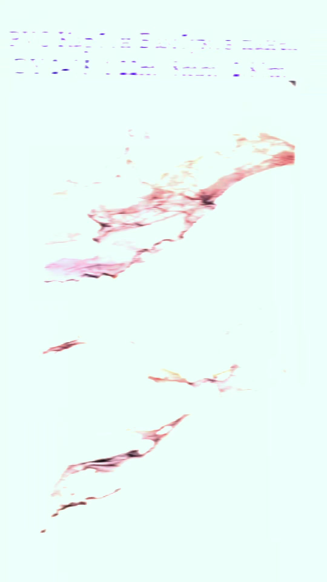 @DekoStyle BG