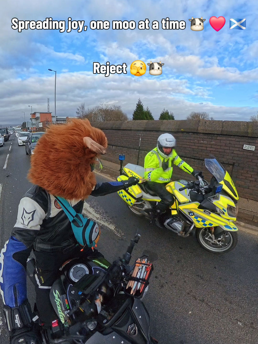 @Highland Cow Rider 🐮🏍