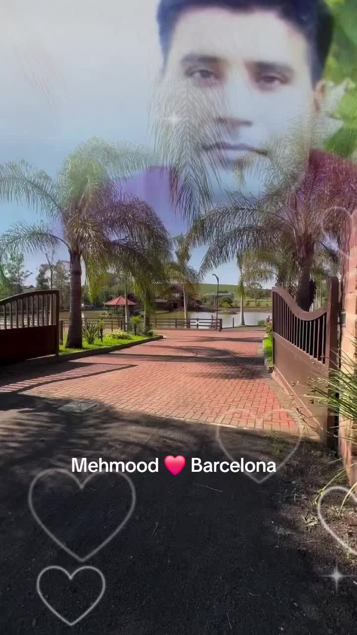 @Mehmood