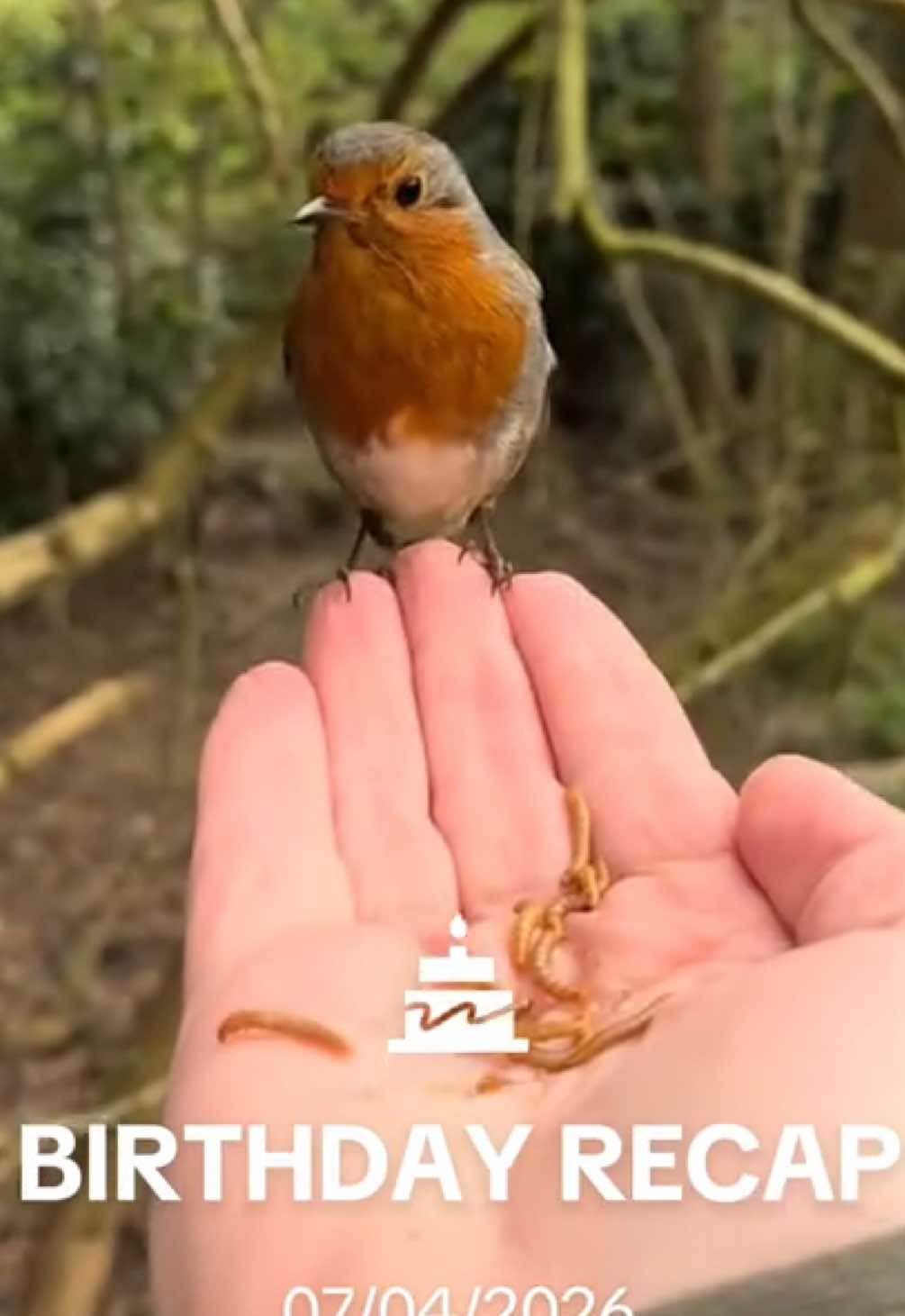 @flora_fauna_fur_feathers
