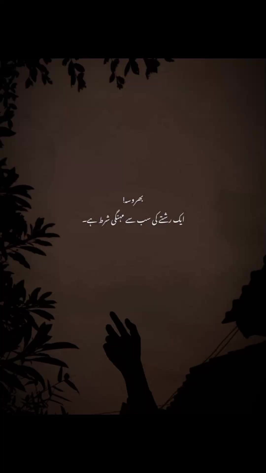 @SHAHID GONDAL