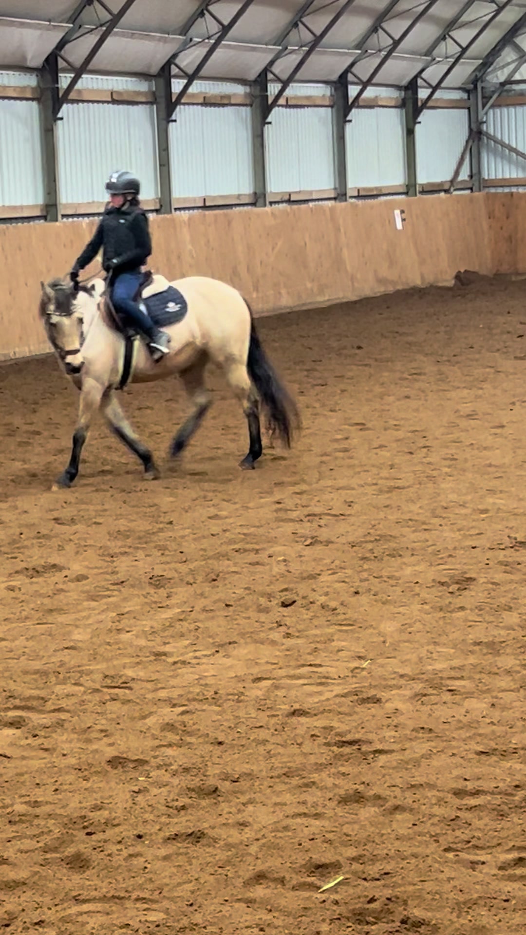 @skritt.trav.galopp