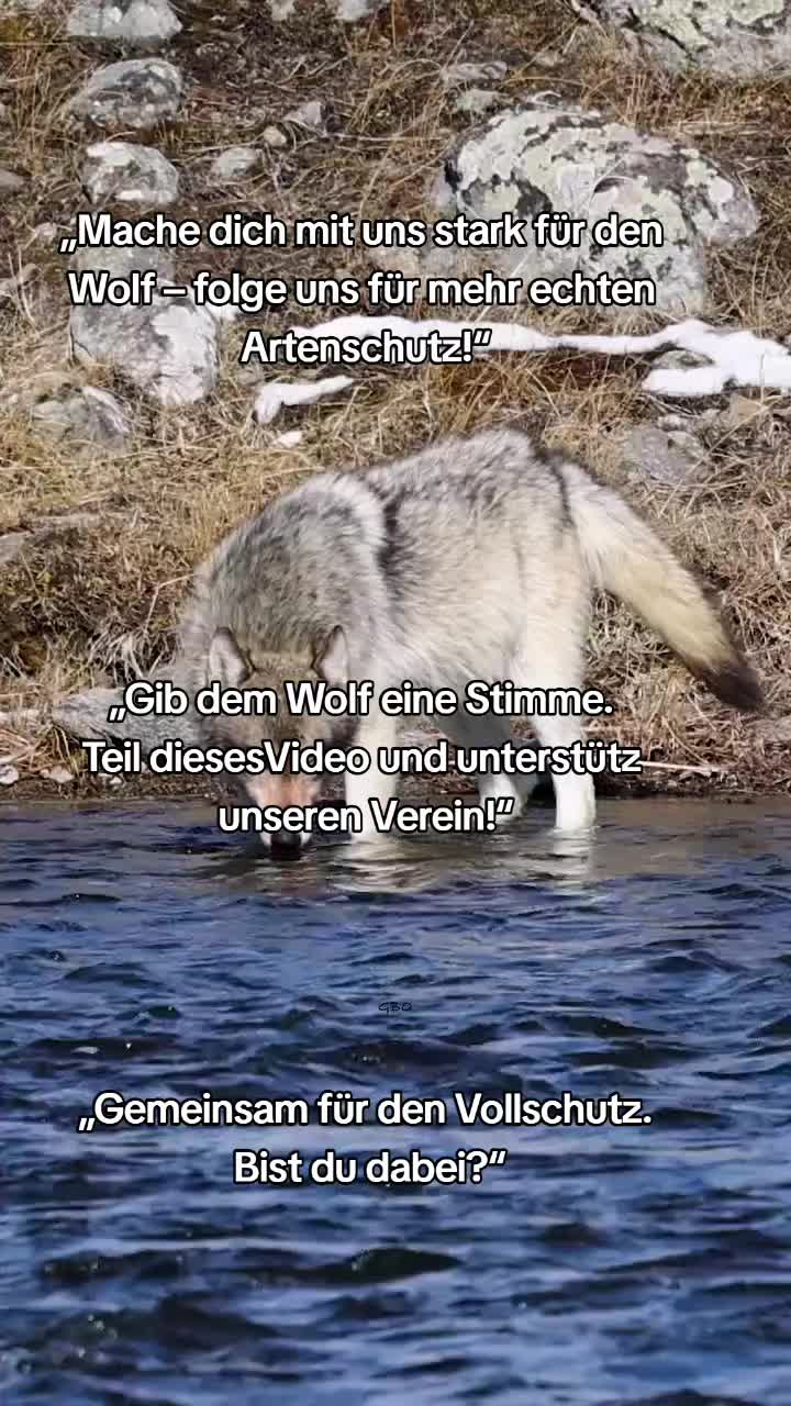 @schützt-den-wolf 🇦🇹