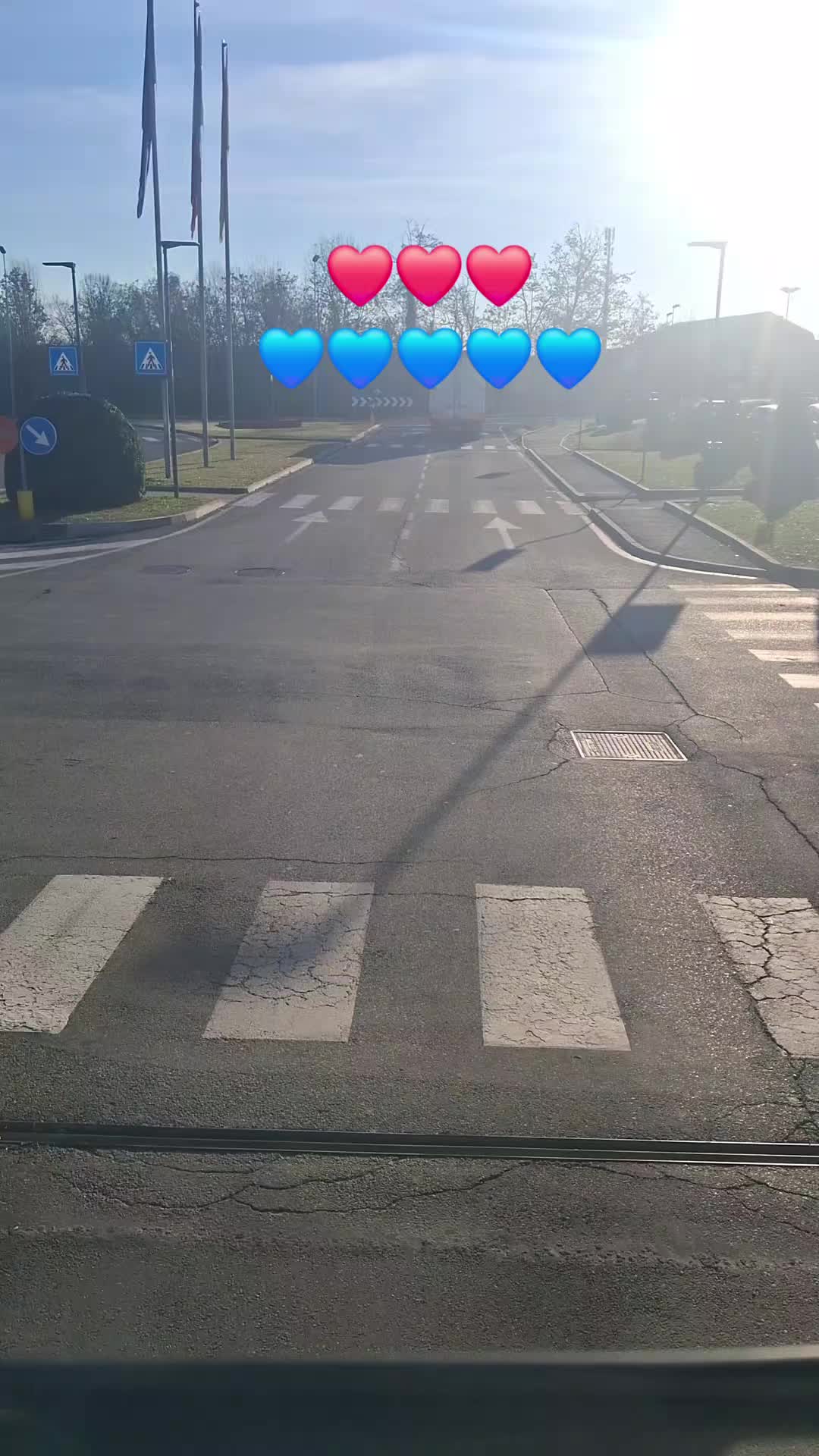 @BODO《SV93XXL》