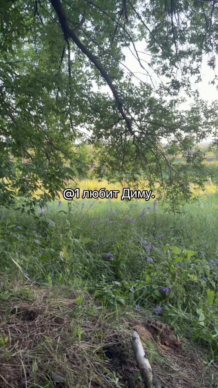 @nmvovvvur