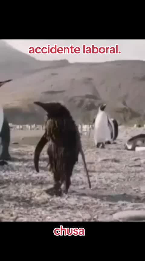 @yo soy Tany 🇪🇦 Andaluc&iacute;a