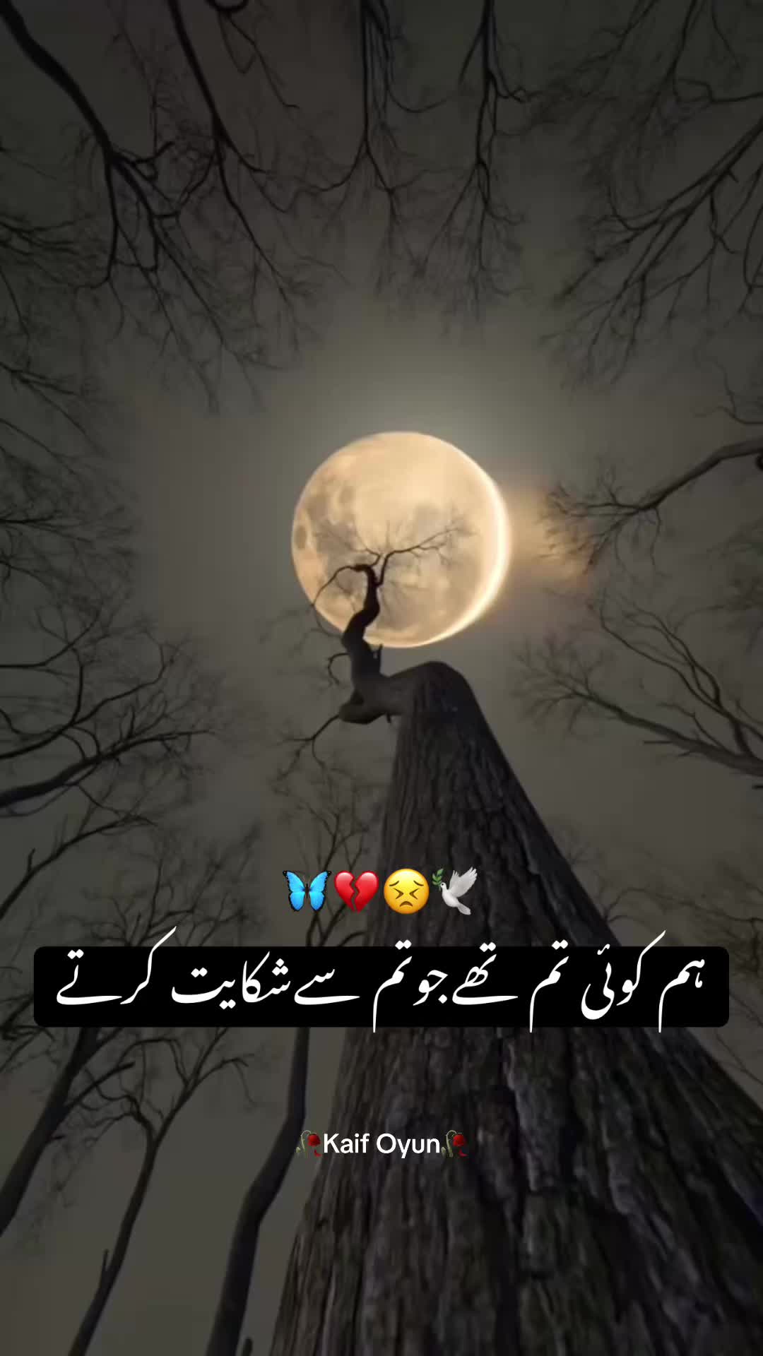 @Kaif Oyun