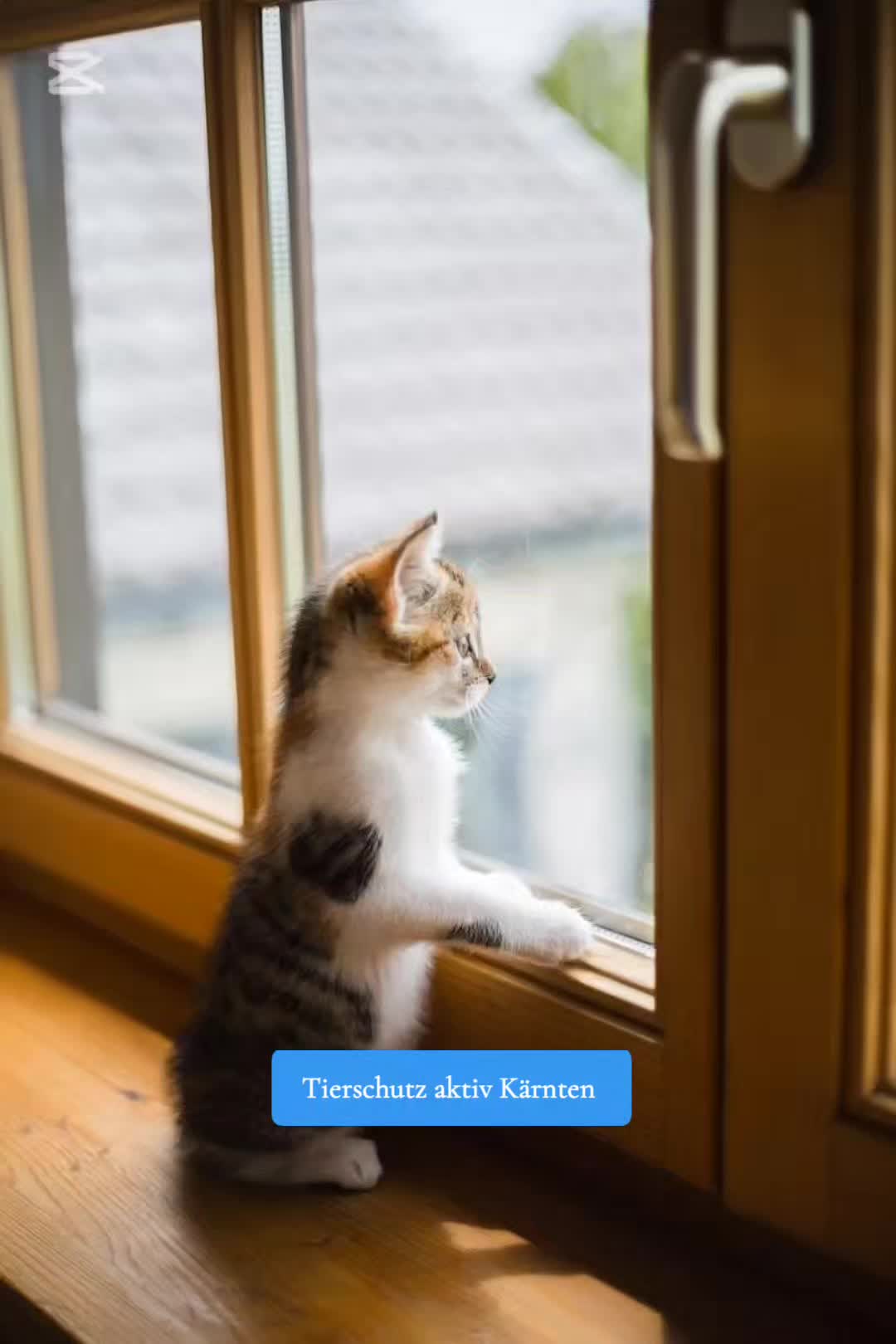 @tierschutz_aktivkaernten