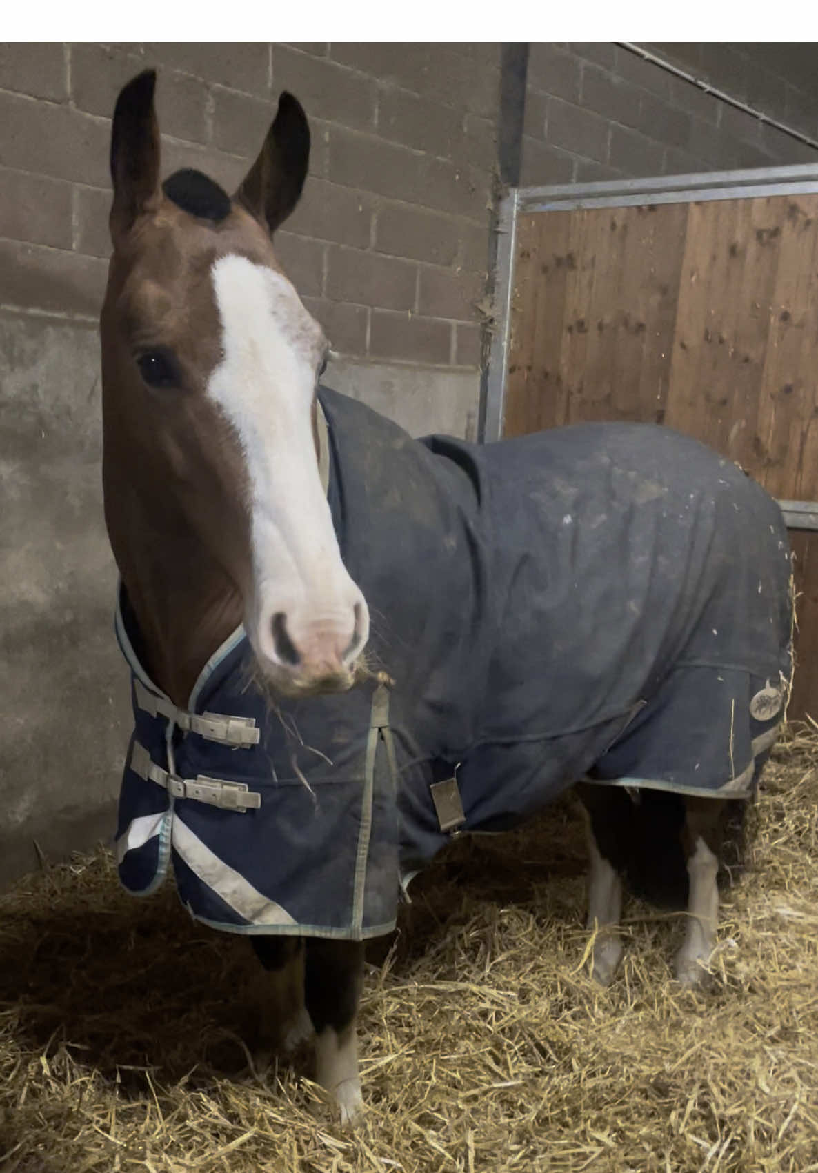 @Yardd | Equine Life Simplified