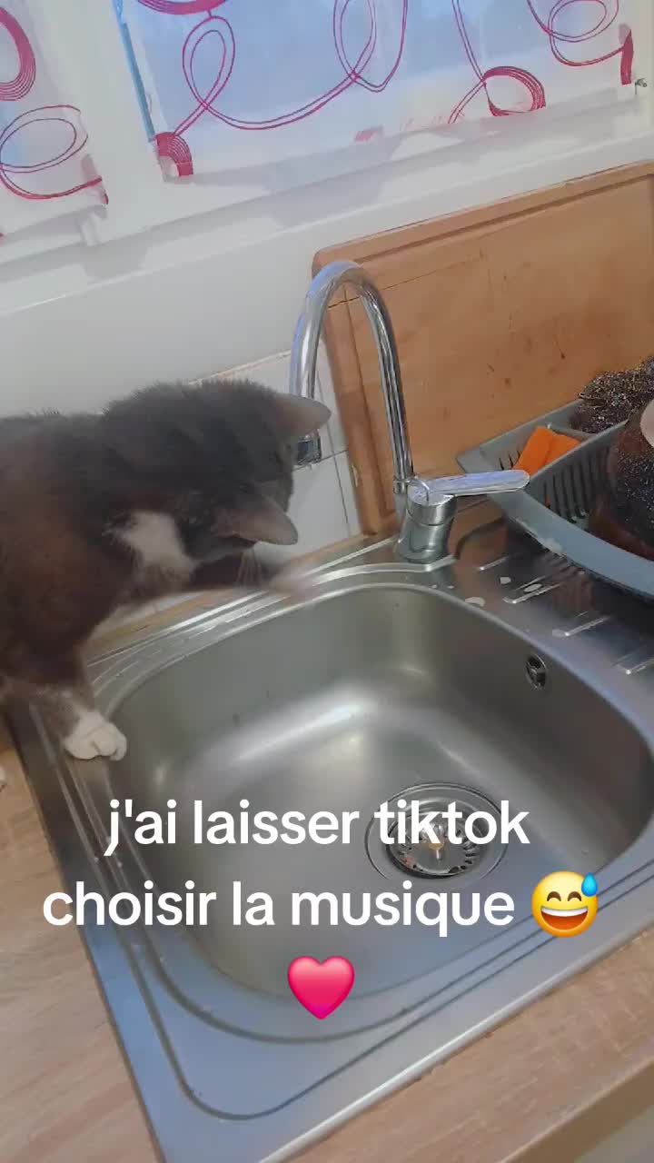 @justine13