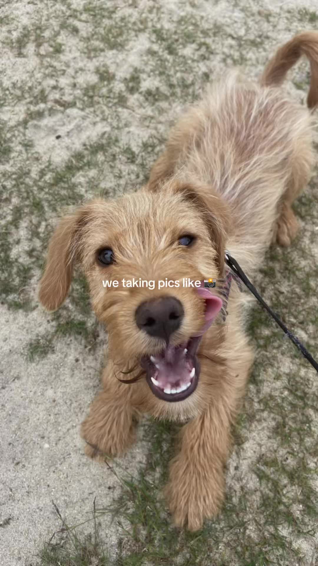 @Samxxxc