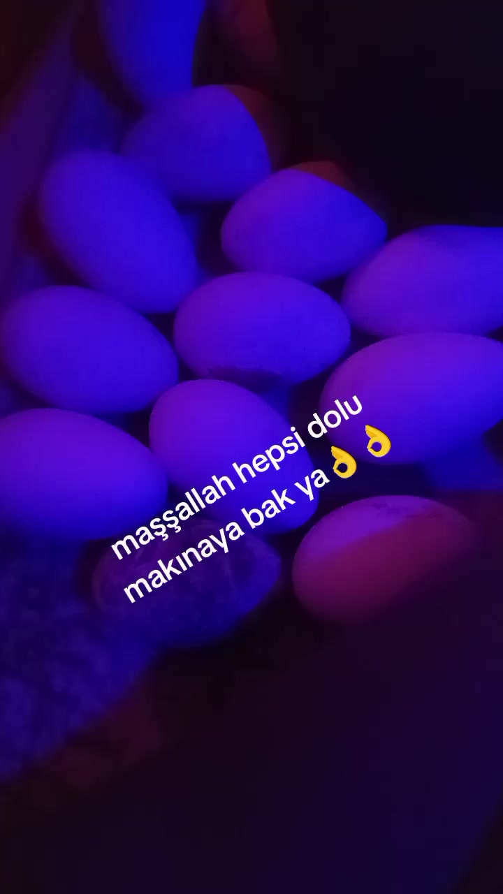 @R&Uuml;YA ❤💯