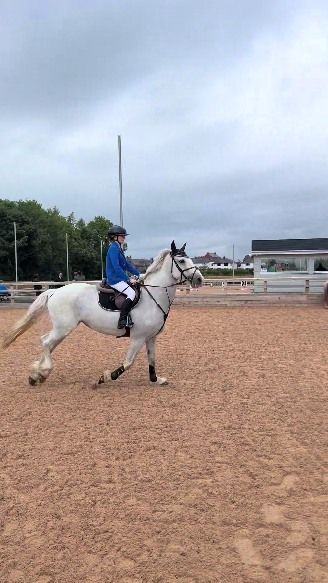 @RavenSide Equestrian