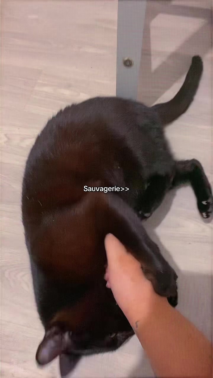 @Joanna🐺