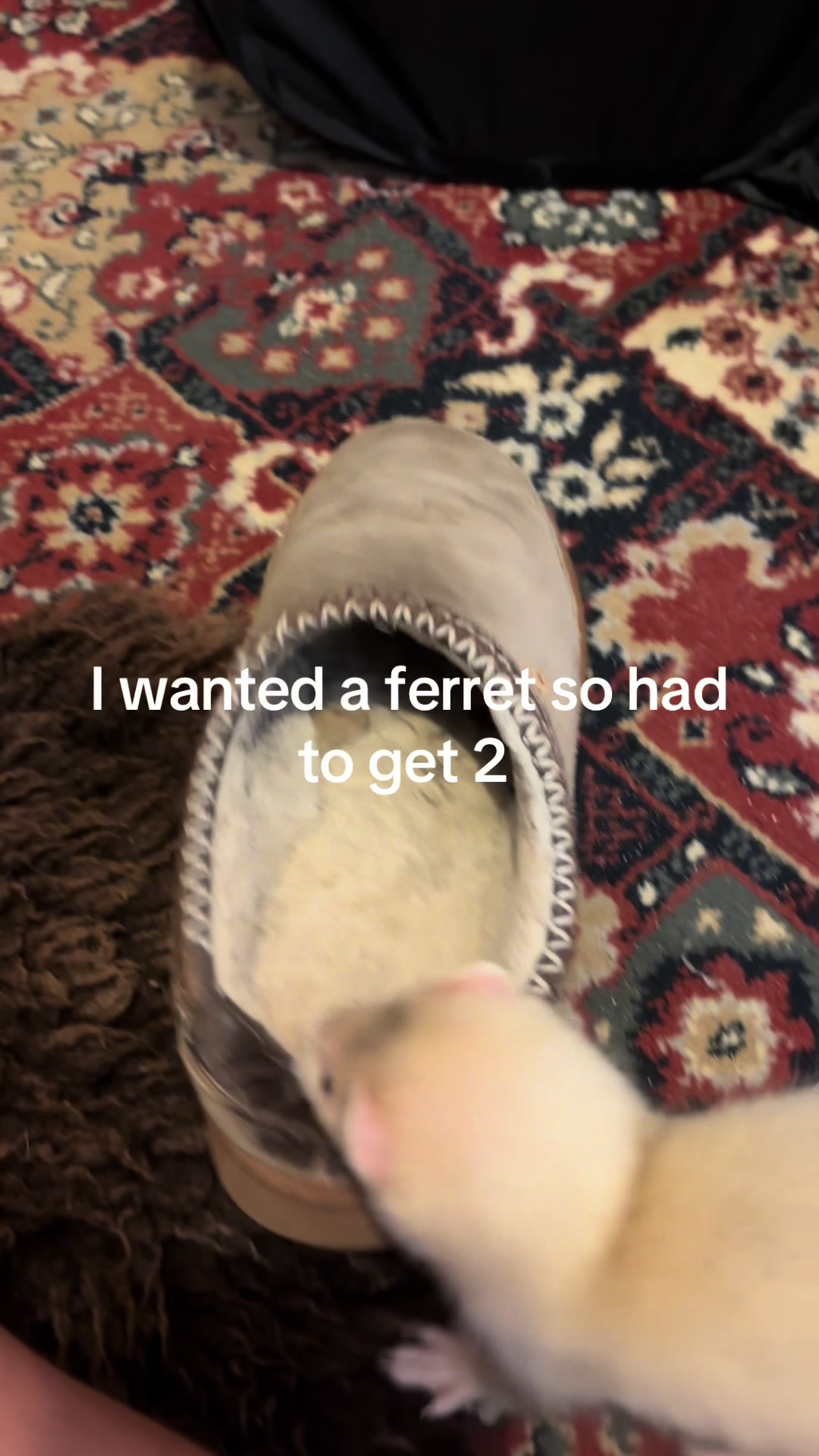 @vanessapenniston