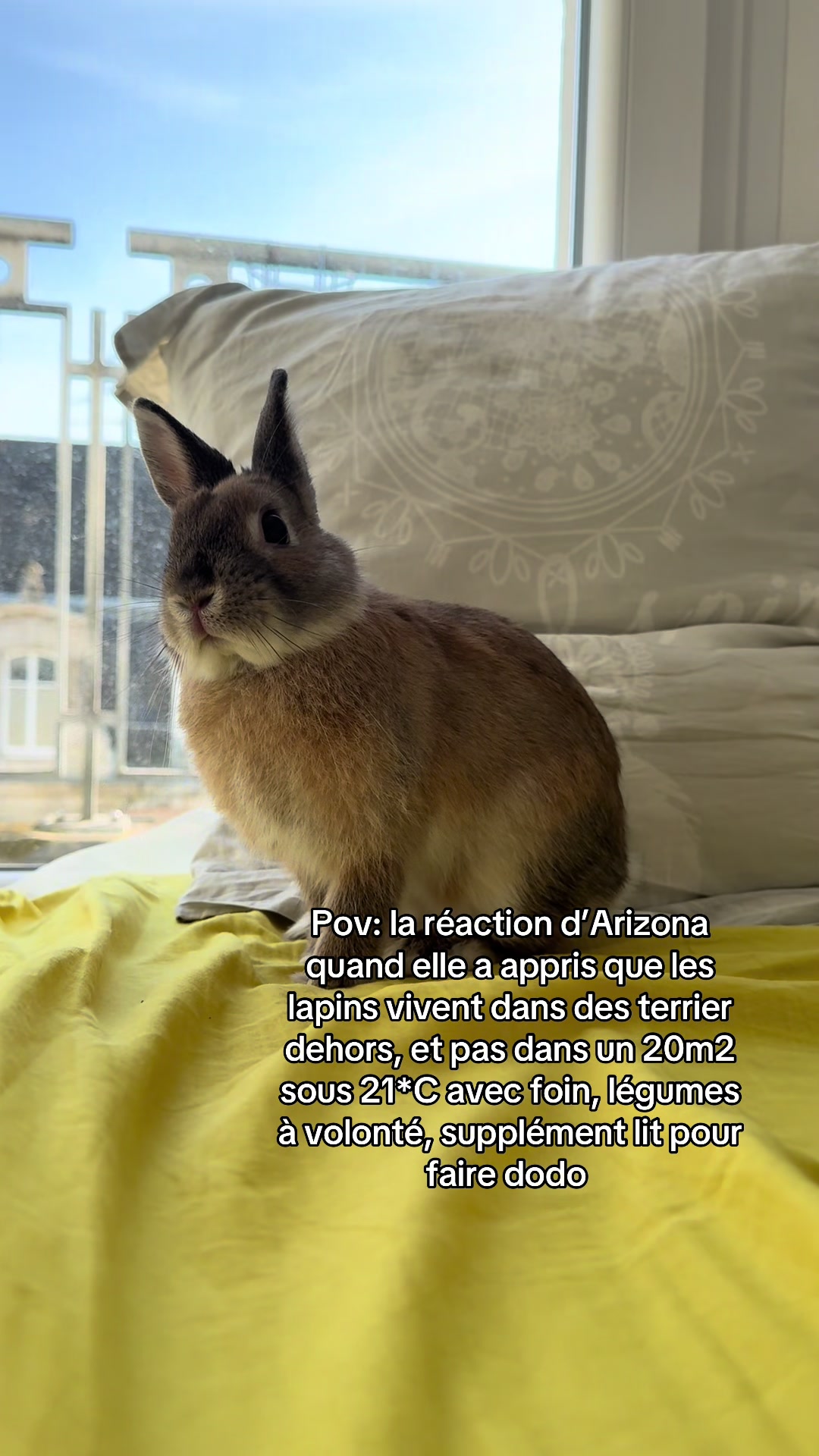 @Arizona🐰🤎