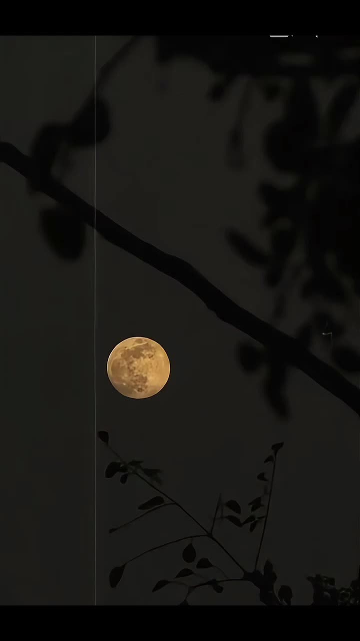 @𝙁𝙖𝙩𝙞𝙢𝙖 𝙡𝙮𝙧𝙞𝙘𝙨 👀