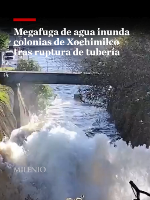 @MILENIO