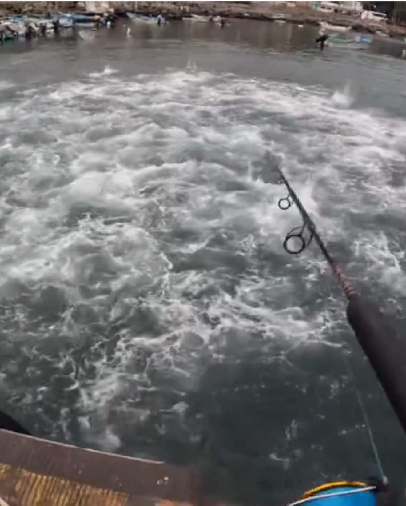 @Ranfery C. G. Sport_Fishing
