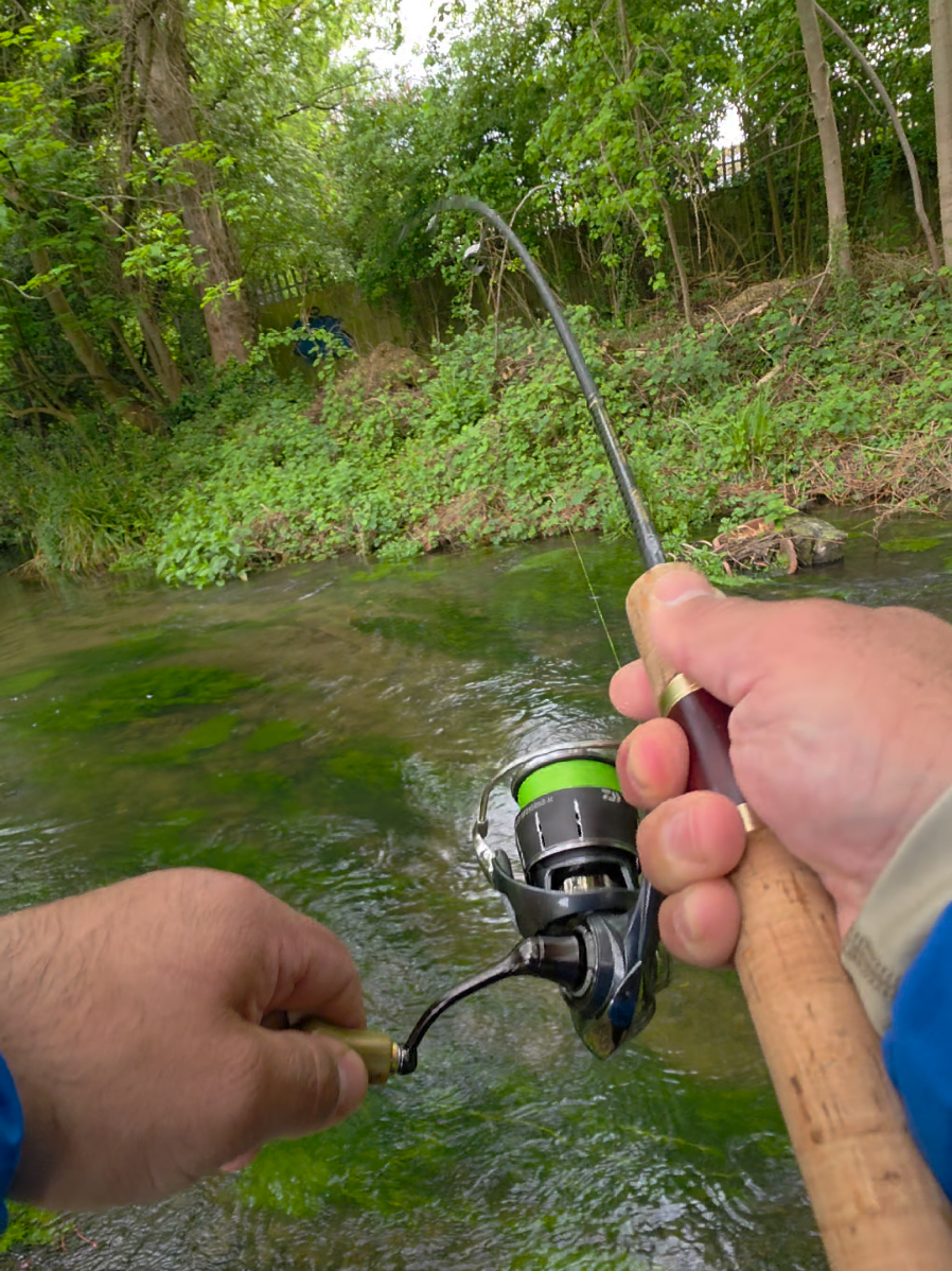 @BF Angler