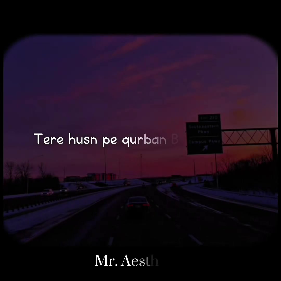 @Mr. Aesthetic