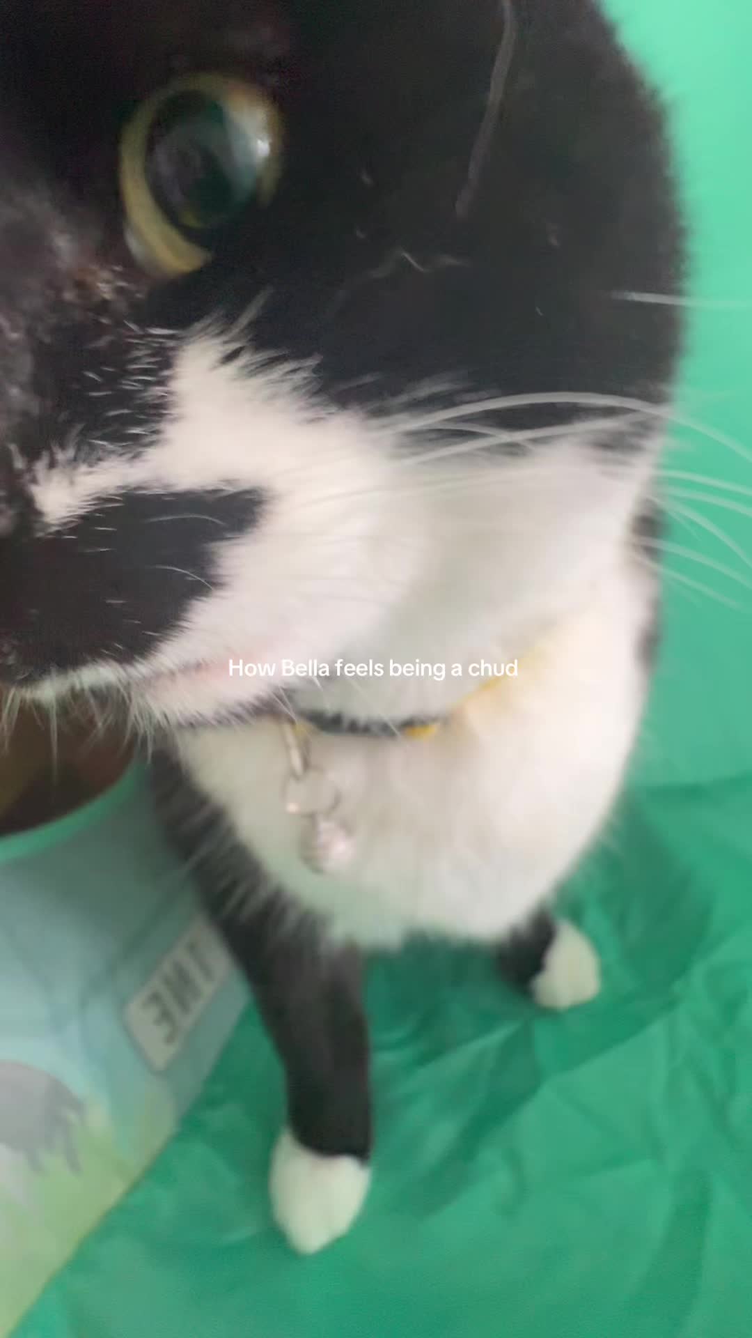 @𝐚𝐨𝐢𝐟𝐞𝐬𝐬𝐩𝐚𝐦🎀