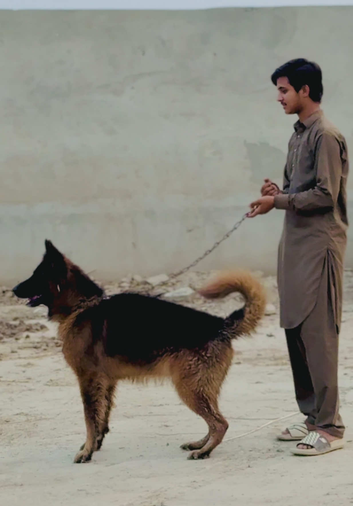 @🥀سردارملک شاویز کانجو🥰