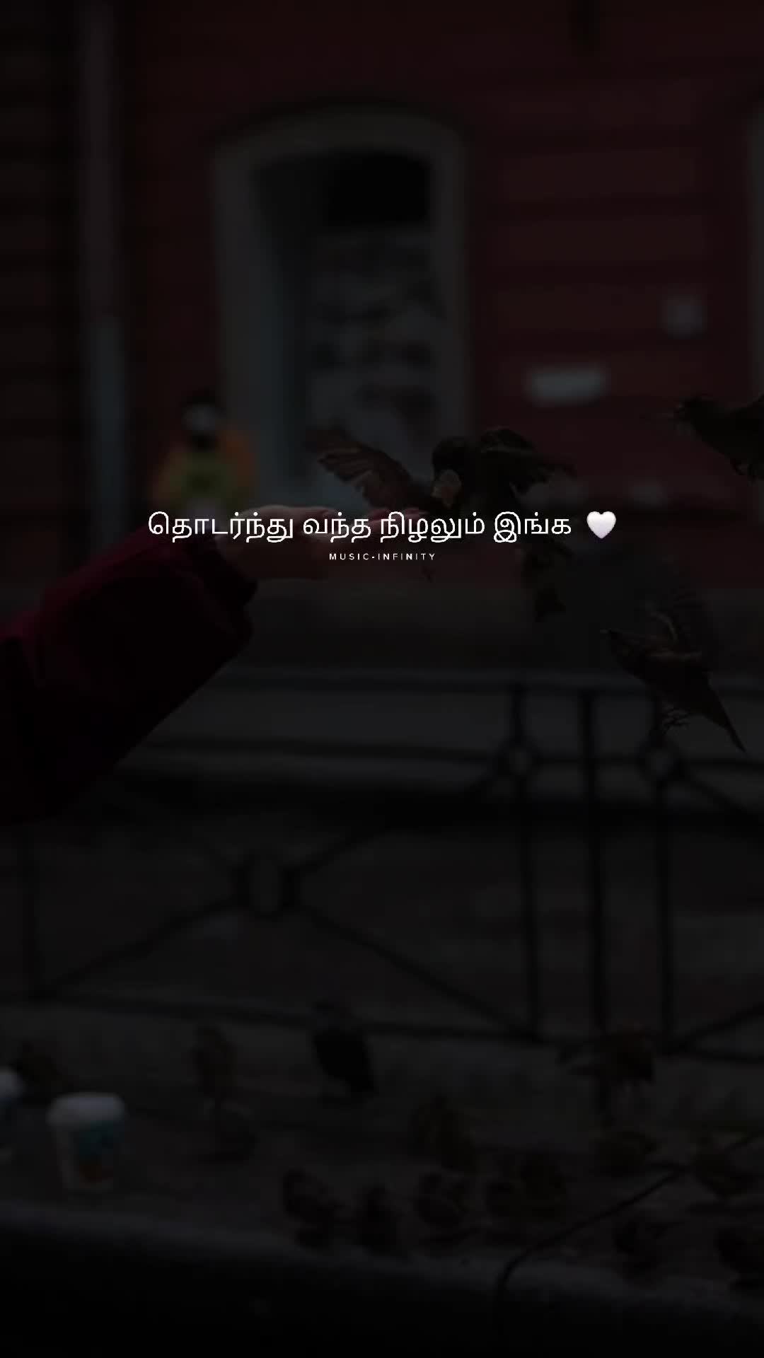 @𝓜𝓾𝓼𝓲𝓬-𝓘𝓷𝓯𝓲𝓷𝓲𝓽𝔂