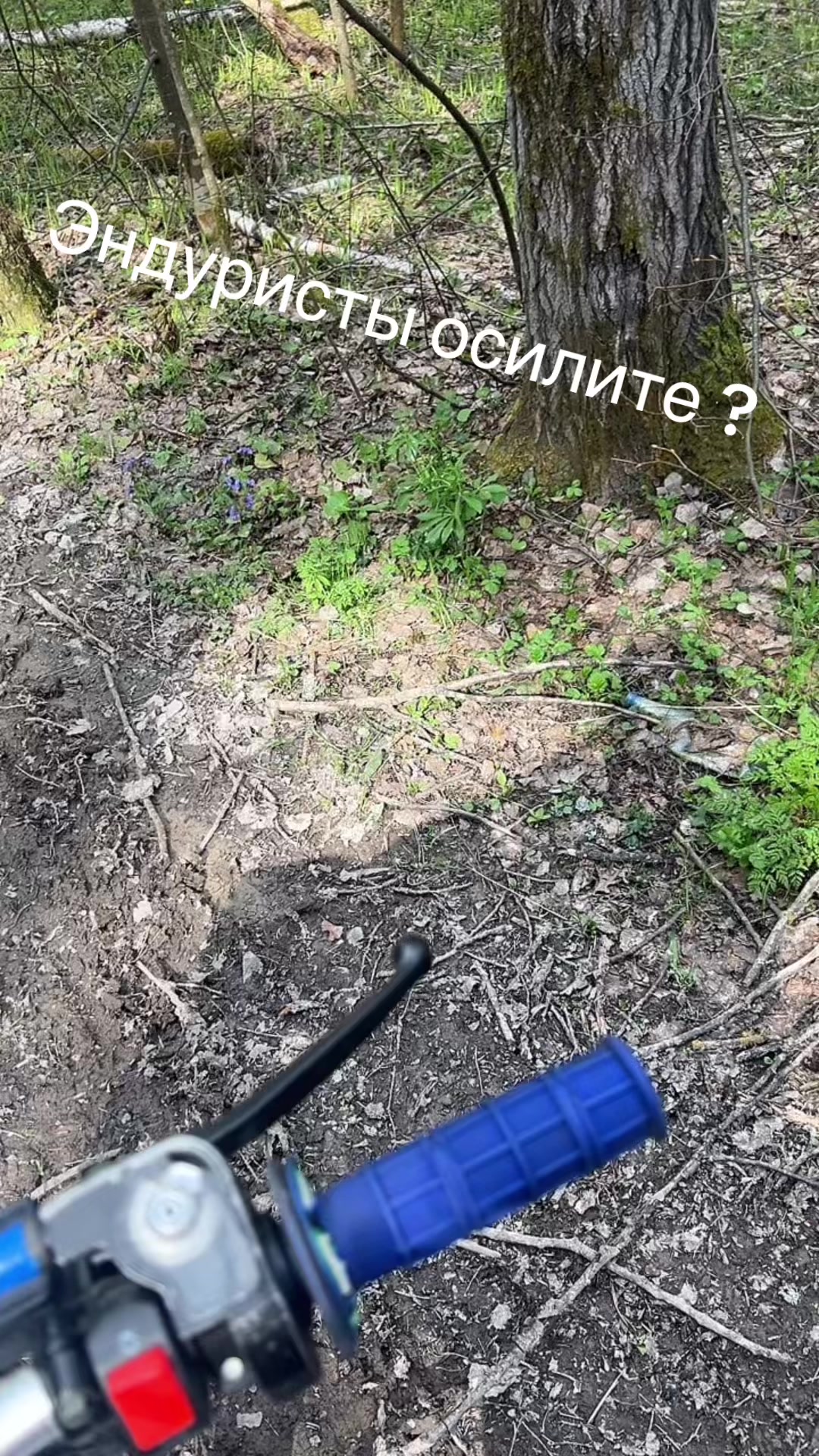 @Арсюша питбайкер