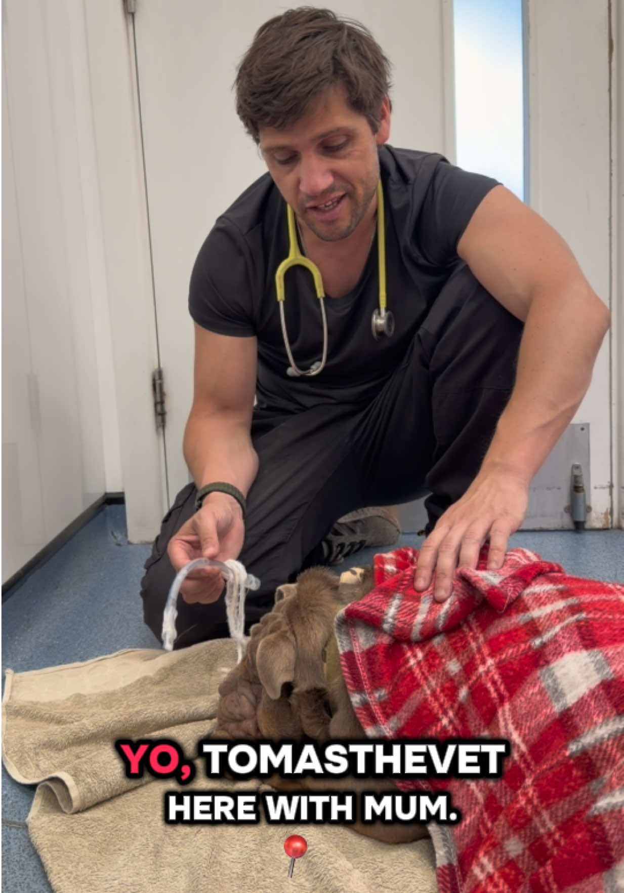 @Tomasthevet