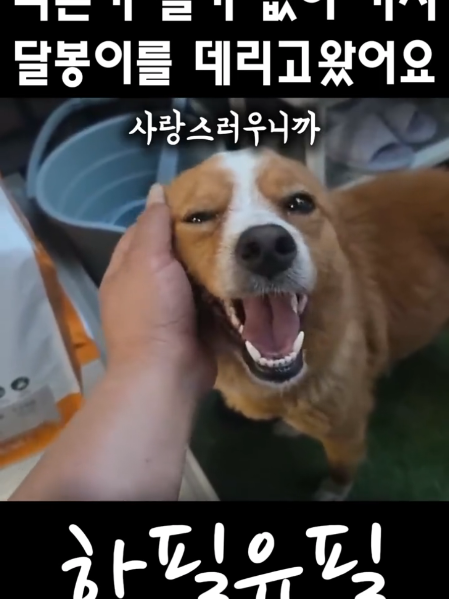 @하필유필
