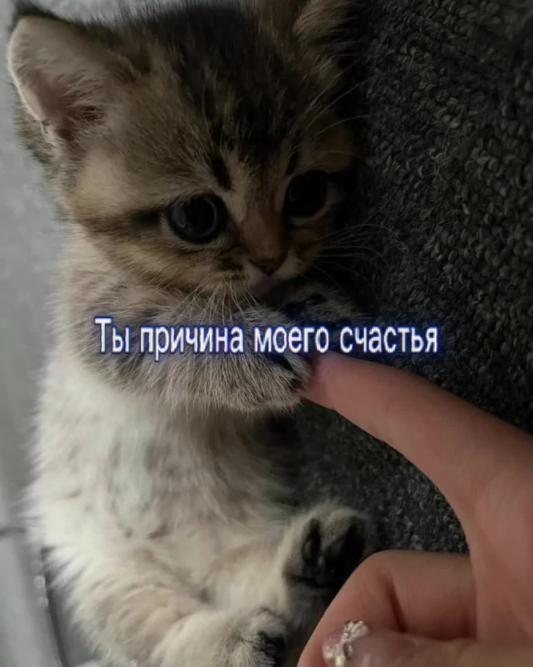 @Я люблю Машулю