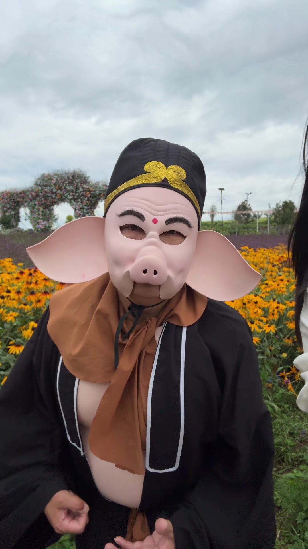@Journey to the West Pigsy