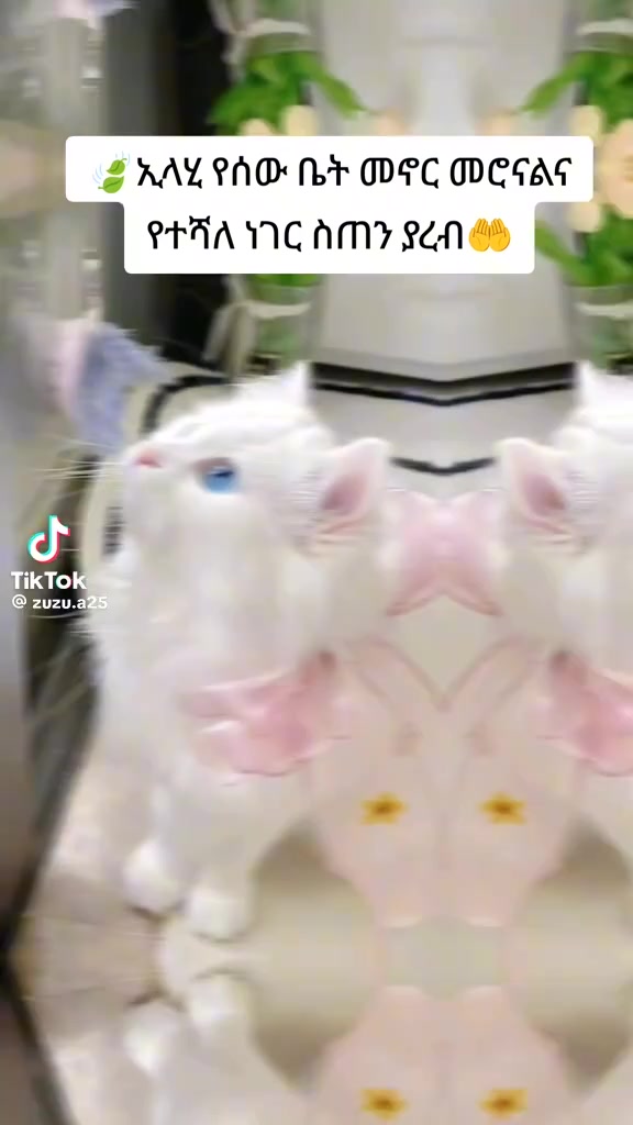 @One deyโ๐ฆ แขแแธ แ แแ
๐โจ๐ซ