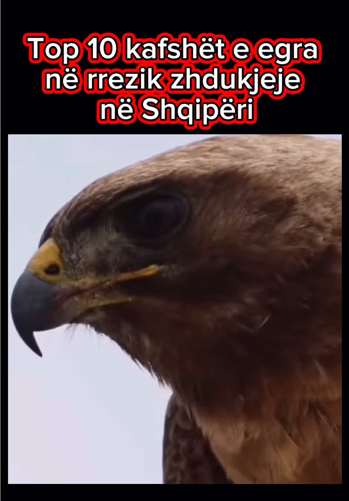 @Top10 Shqip