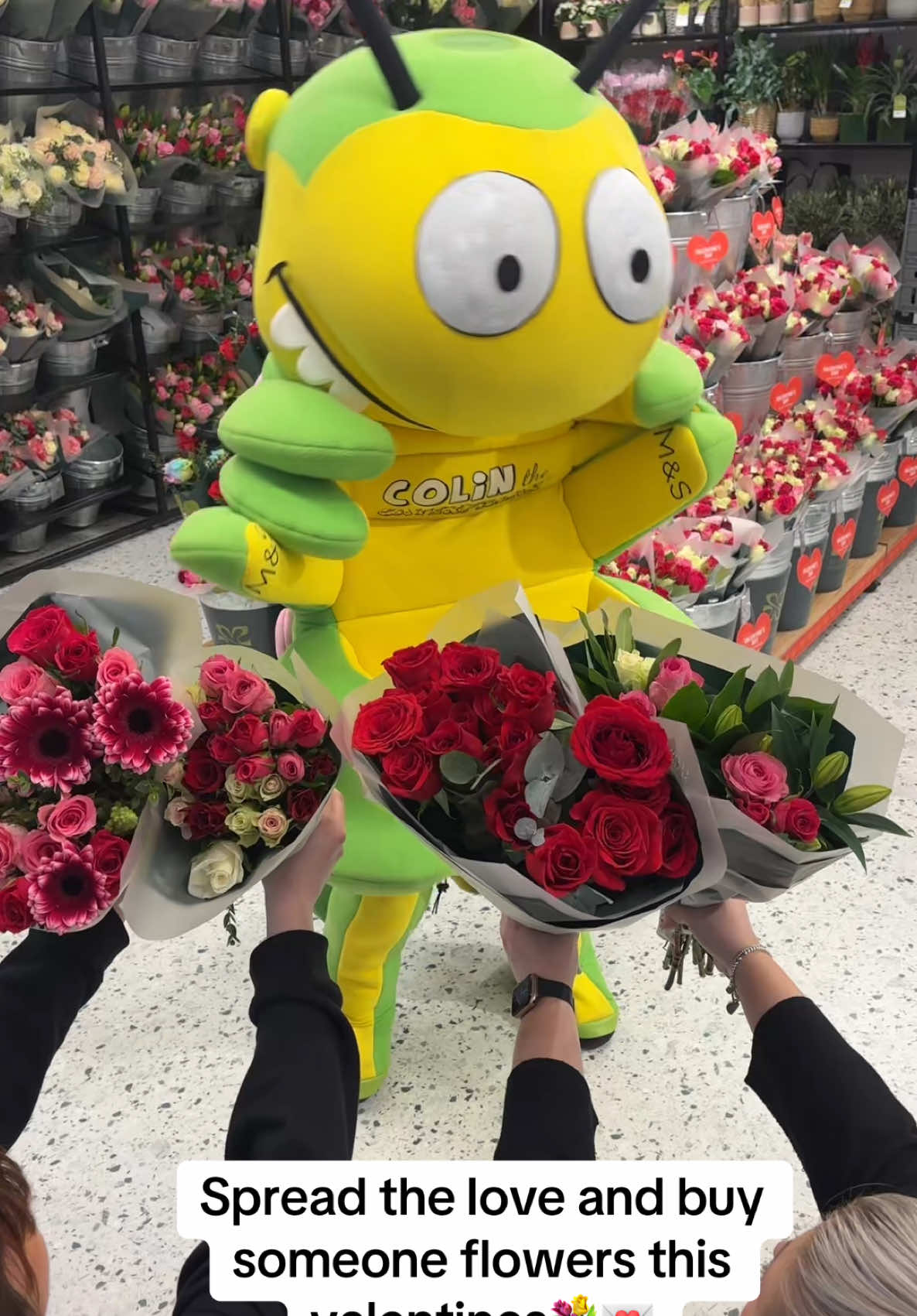 @M&S Sale