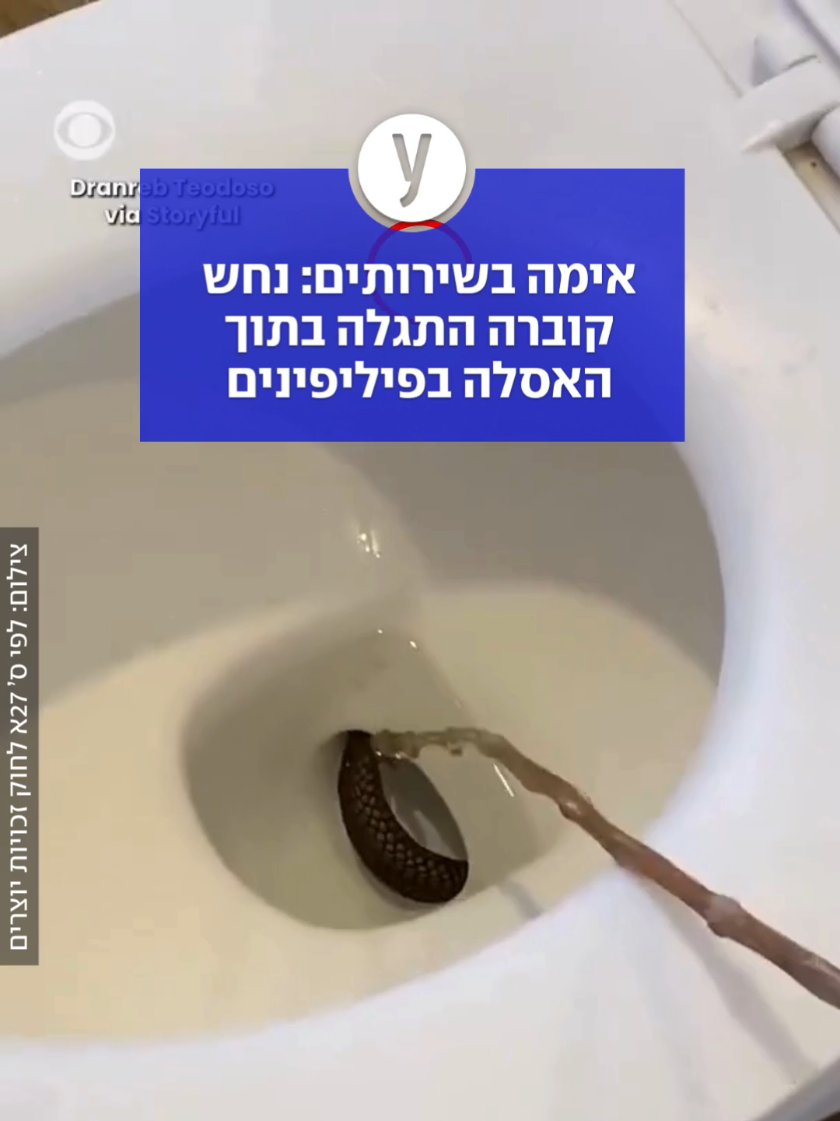 @ynet