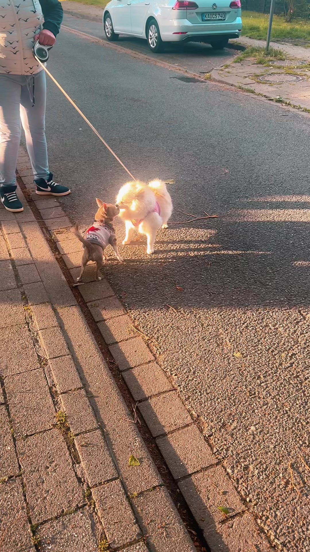 @АпЕлЬсИнКа