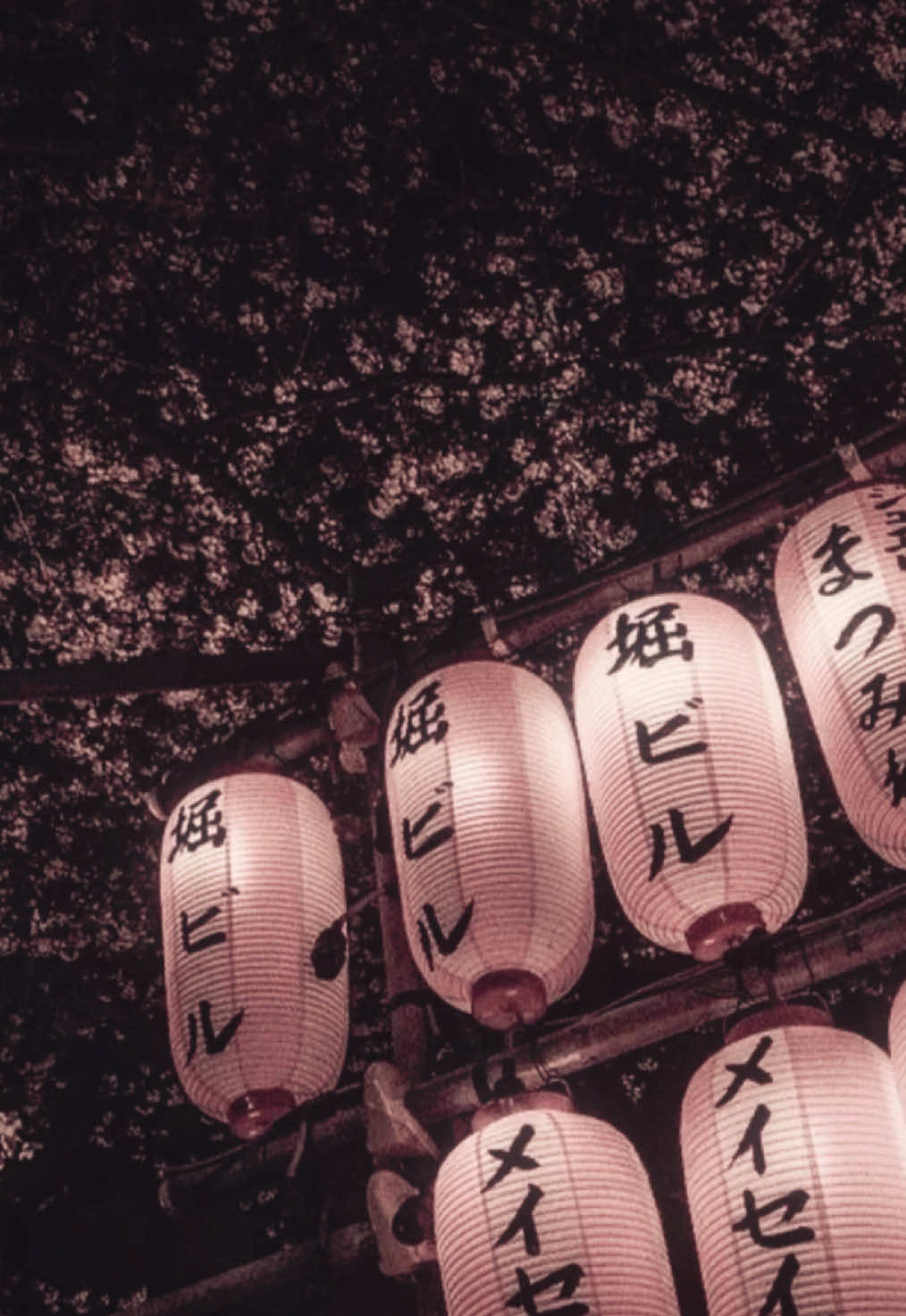 @᯽𓂃 ⊹𓍢ִ໋