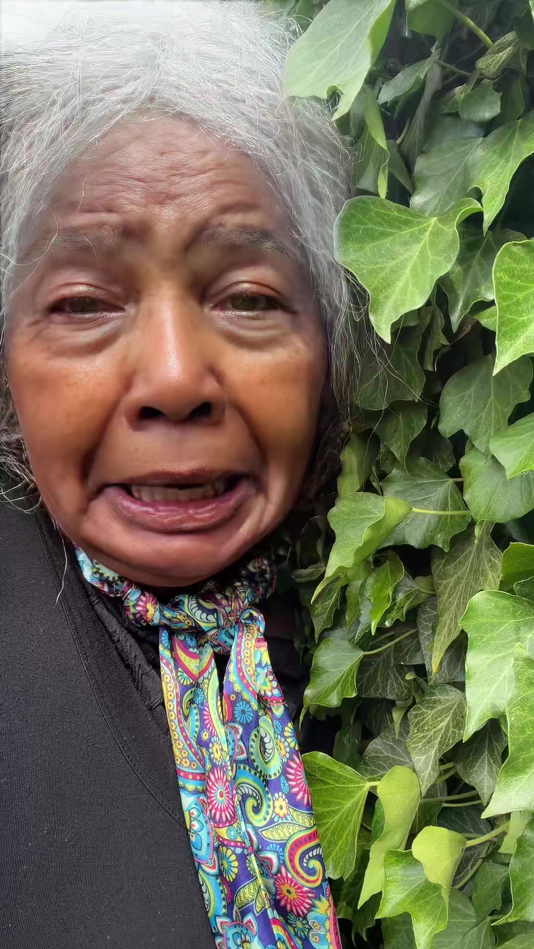 @O G Granny