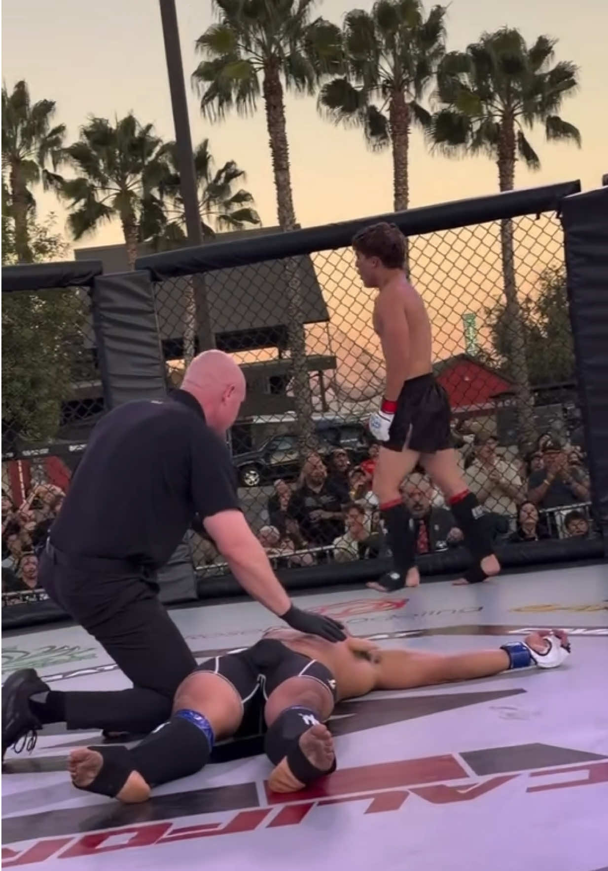 @FightingLab