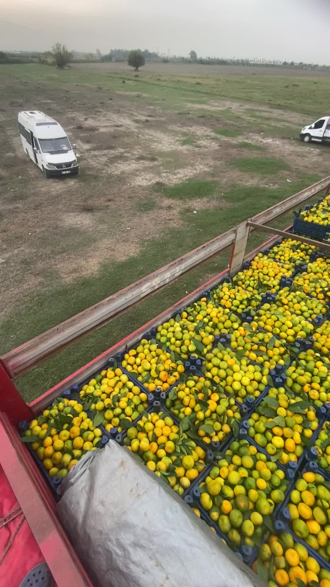 @Orhankarss36