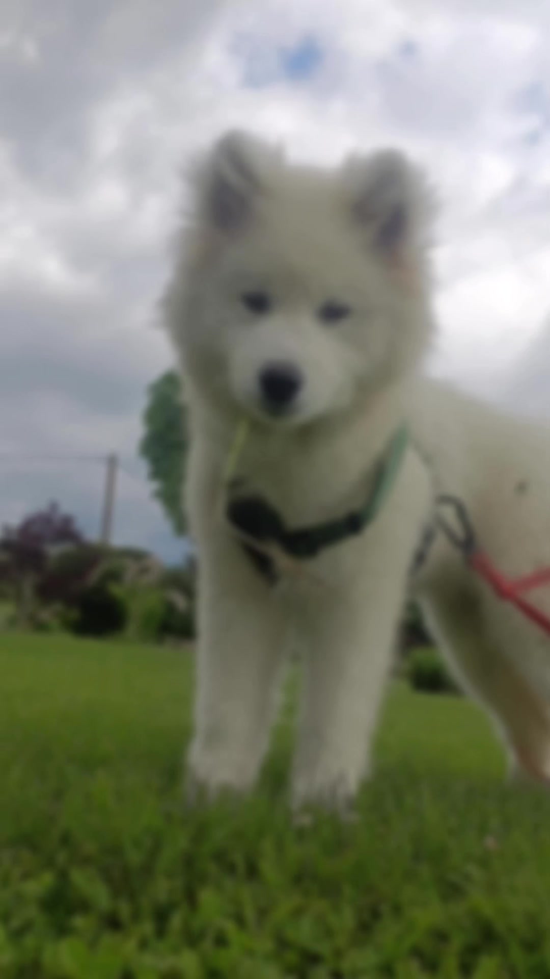 @Lyssandre Bonnifacy