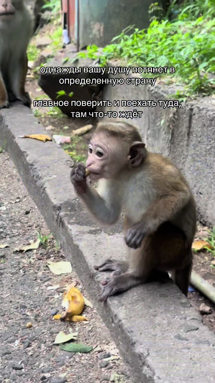 @Муза Воронцева