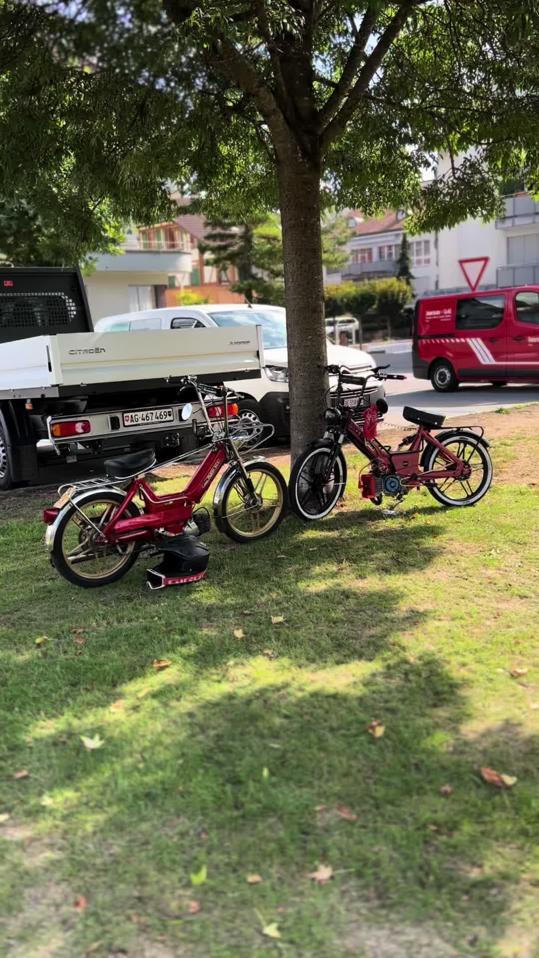 @Z74_Lou♦️