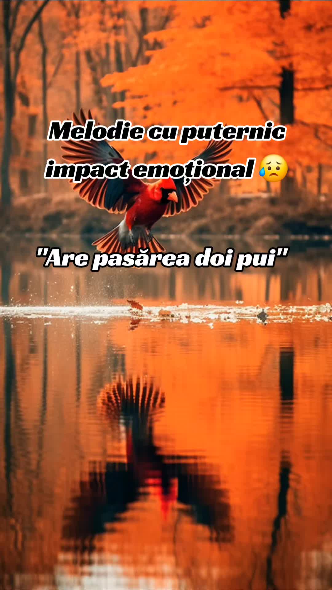 @Maxx Mariano