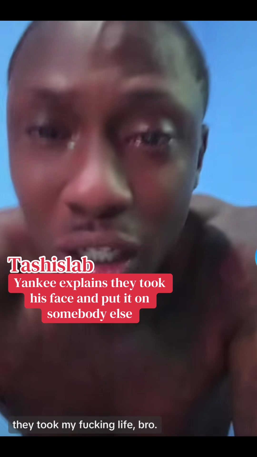 @Tash_is_Lab