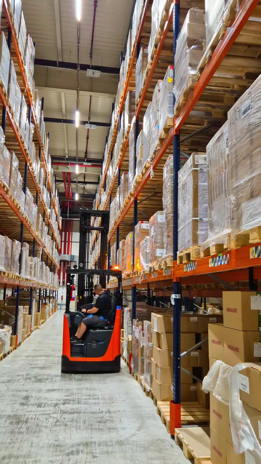 @Forklift Master ✌️