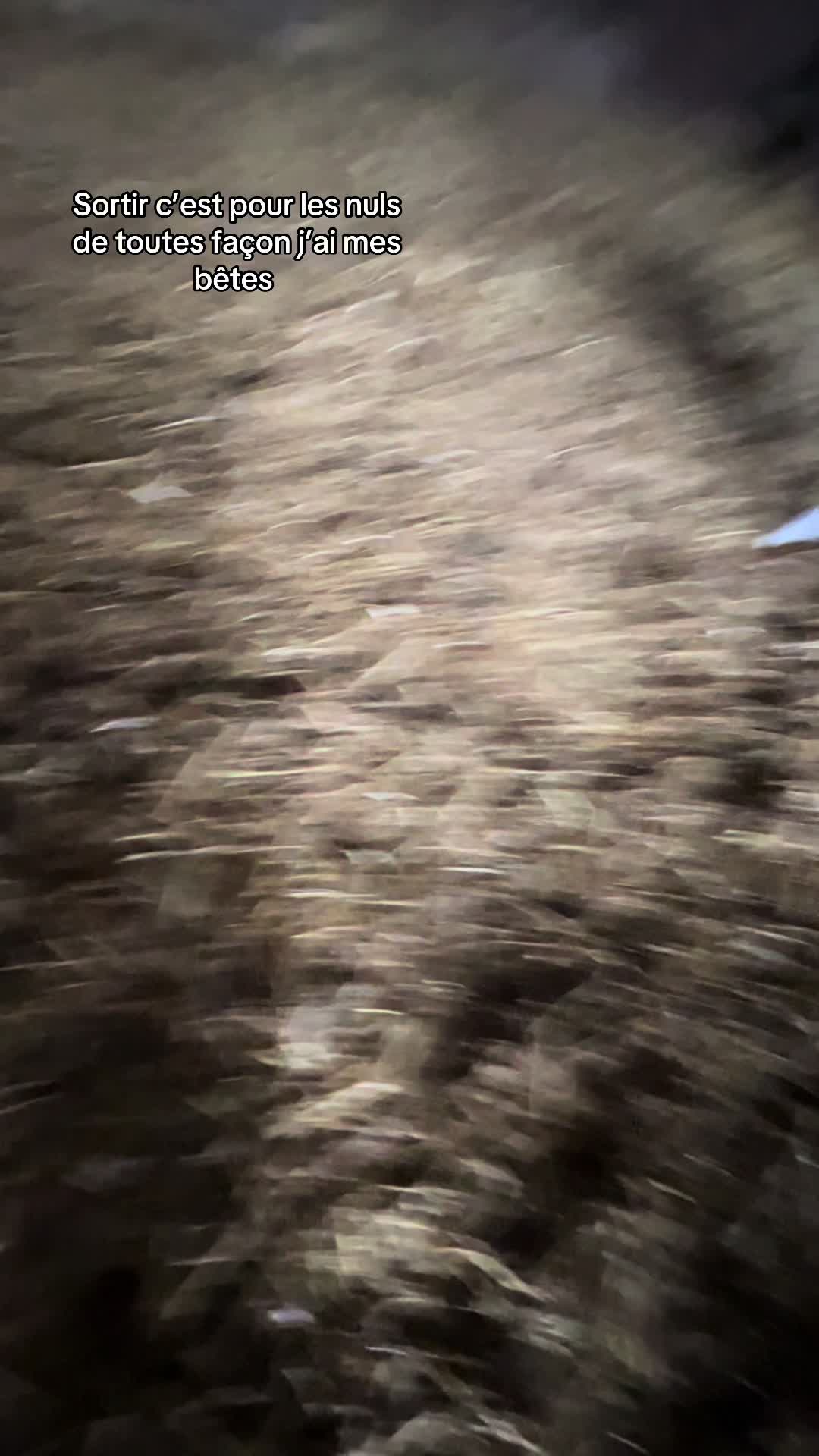 @Océane 🐄🌾