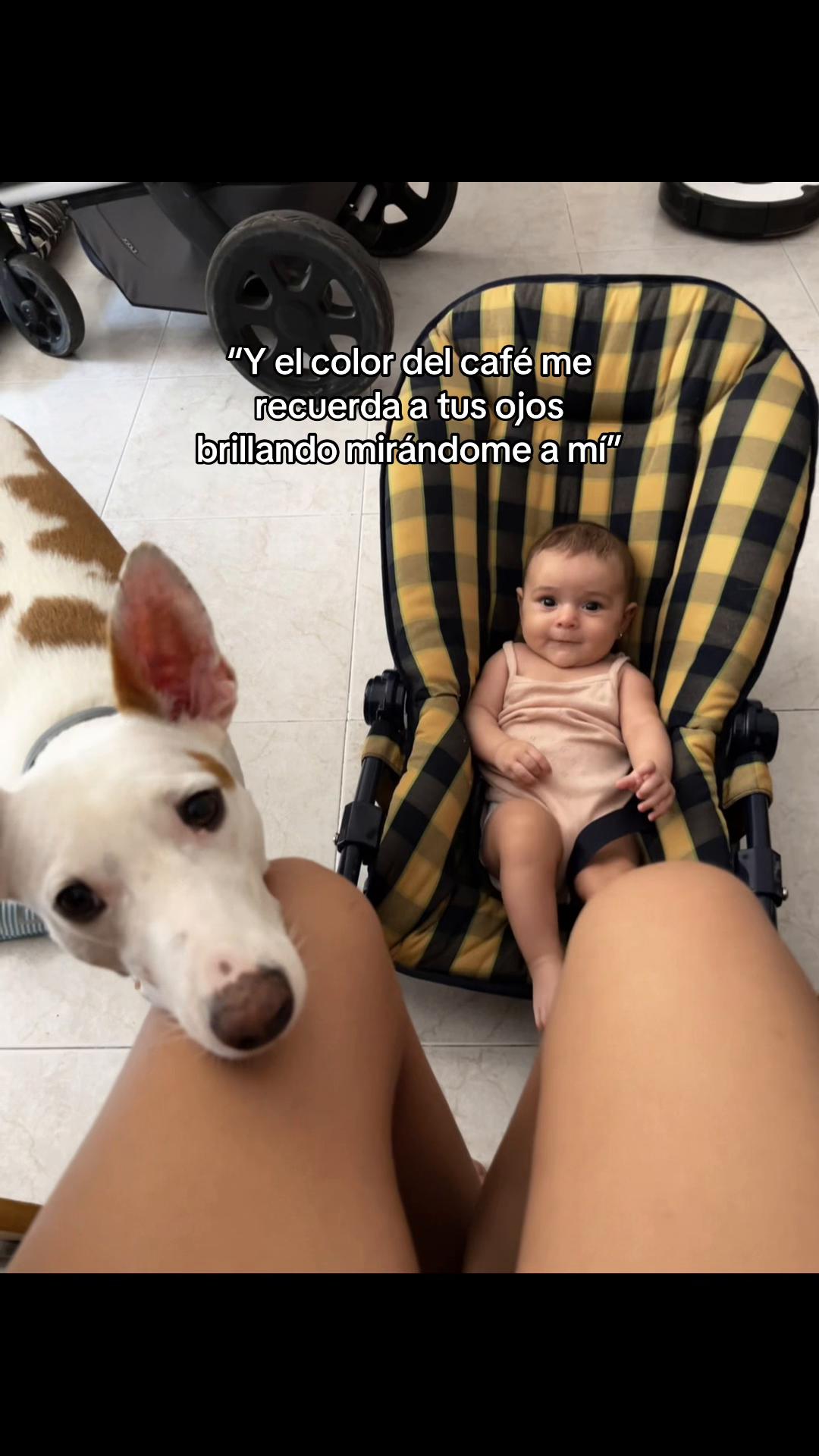 @ramirez_09n